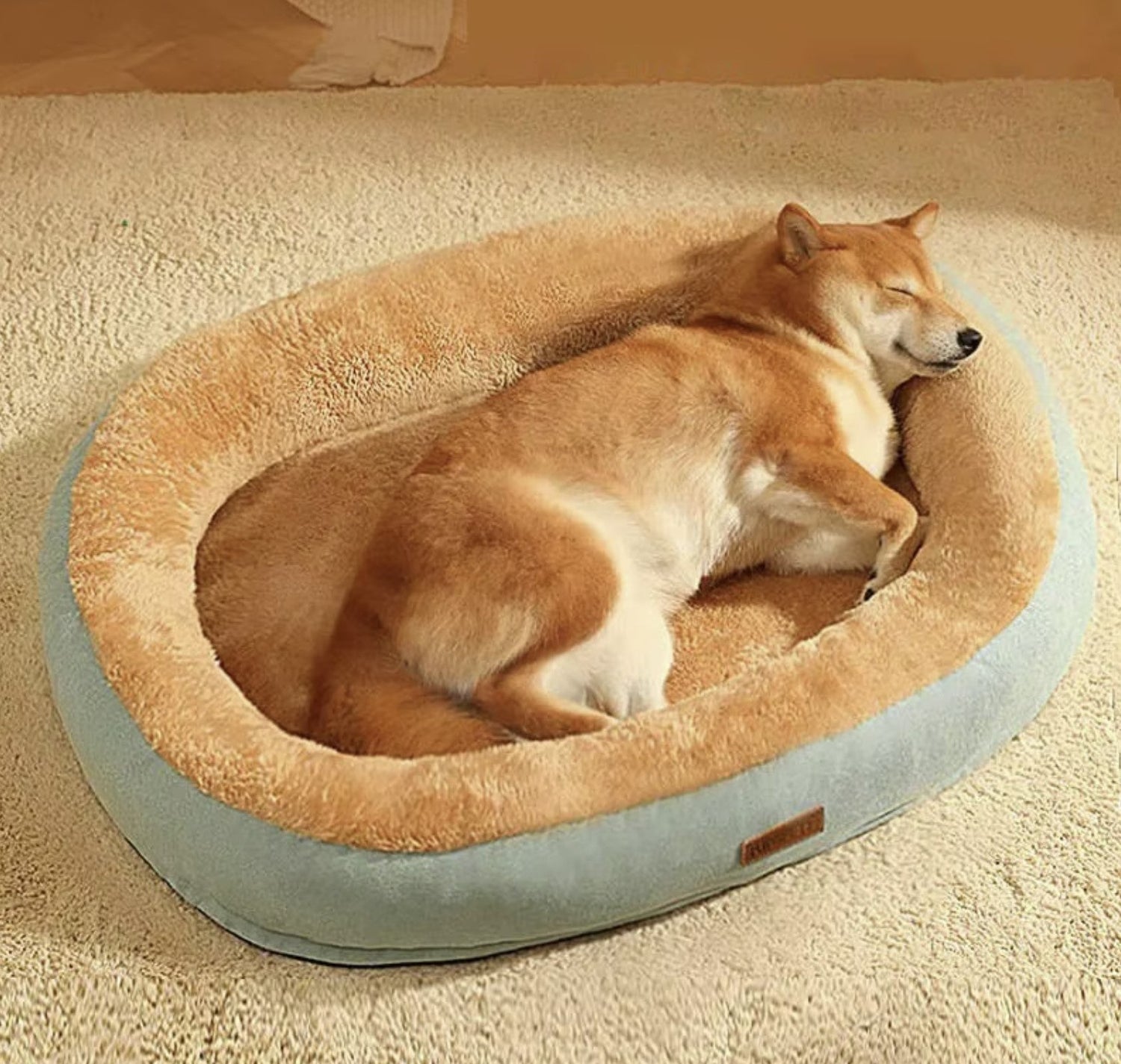 A dog lying on his pet bed from Haile Cozzie Soles