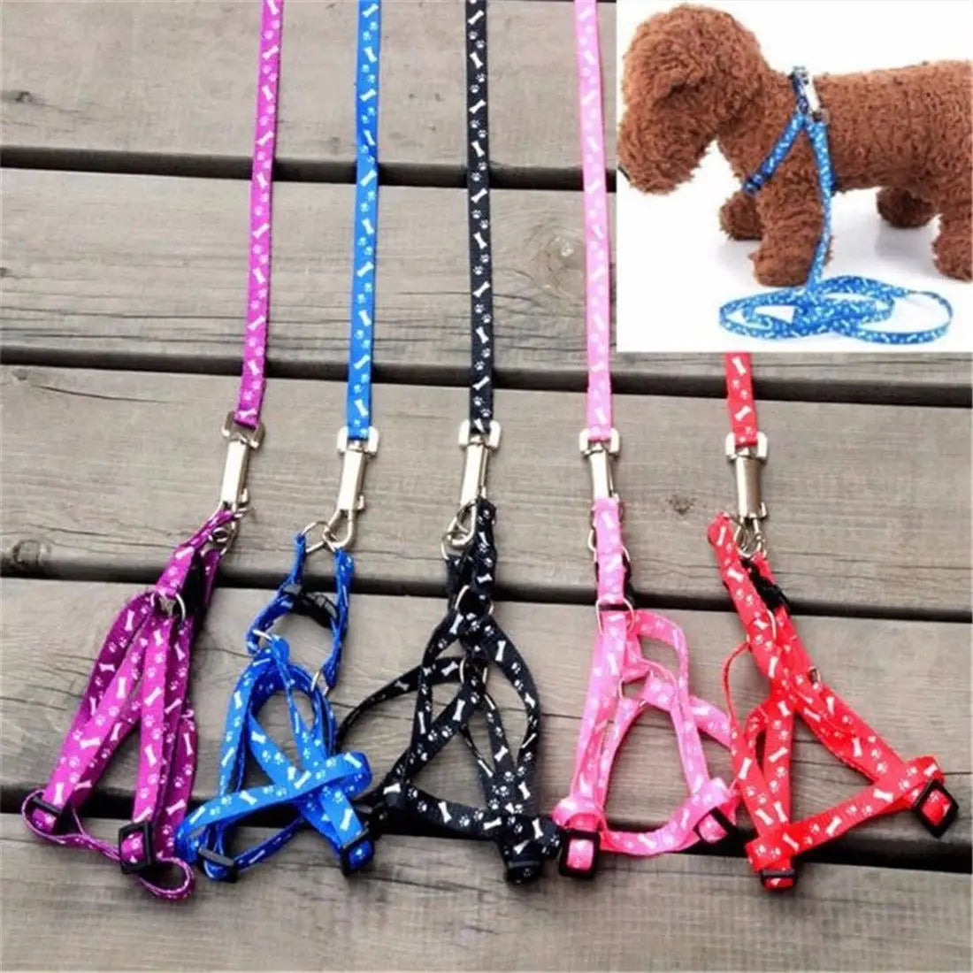 Pet Leash & Harness for Small Dogs, Cats, Puppies, and Rabbits