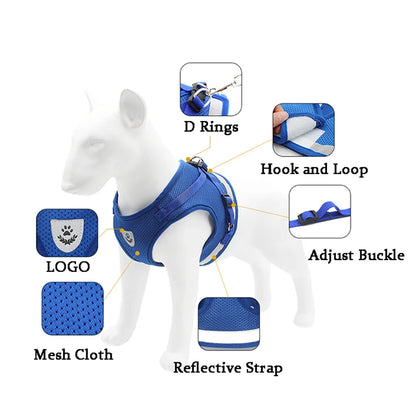 Reflective Pet Harness & Leash Set - Chest Strap for Dogs & Cats