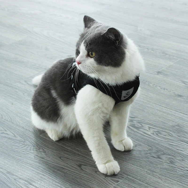 Reflective Pet Harness & Leash Set - Chest Strap for Dogs & Cats