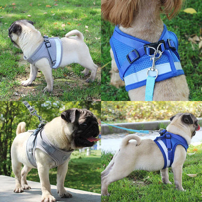 Reflective Pet Harness & Leash Set - Chest Strap for Dogs & Cats