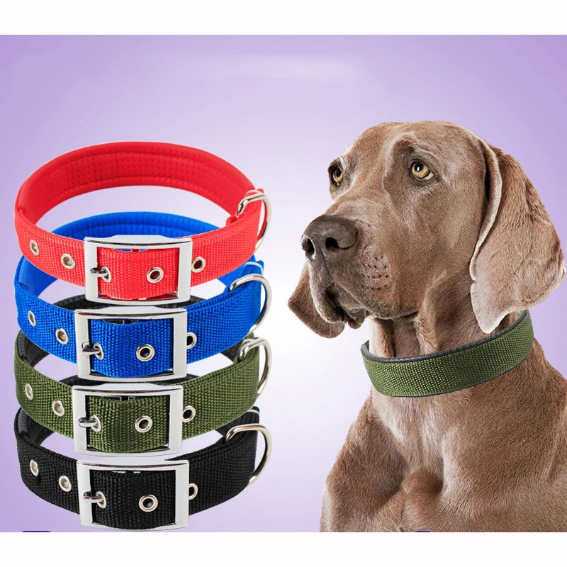 Nylon Dog Collar - Durable Collar for Small to Large Dogs