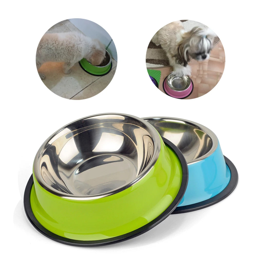 Colorful Stainless Steel Dog Bowls | Pet Food & Water Dishes for Cats and Dogs