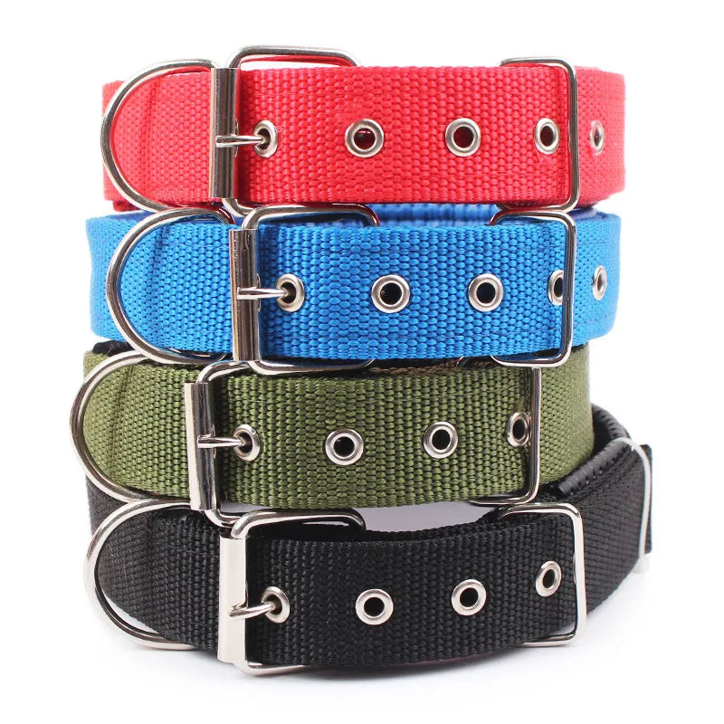 Nylon Dog Collar - Durable Collar for Small to Large Dogs