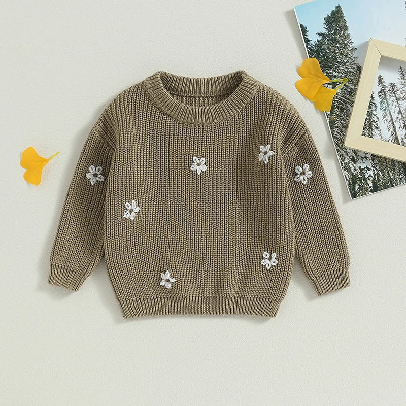 Baby Girl Autumn Embroidery Sweater | Long Sleeve Knit Pullover