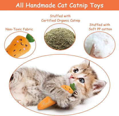 Catnip Plush Toy for Kittens