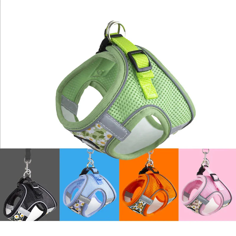 Nylon Mesh Cat Harness and Leash