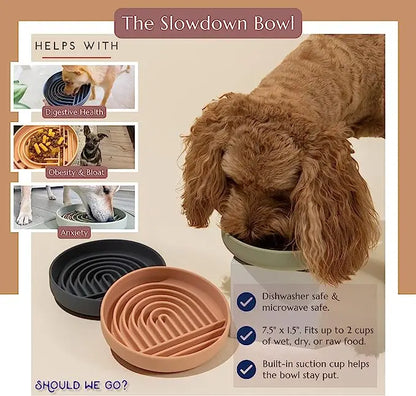 Anti-Slip Slow Feeder Bowl for Cats & Puppies