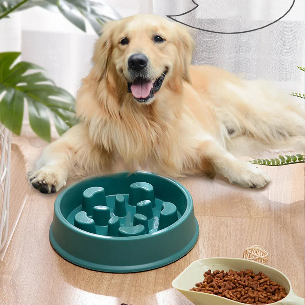 Non-Slip Slow Feeder Bowl for Dogs and Cats