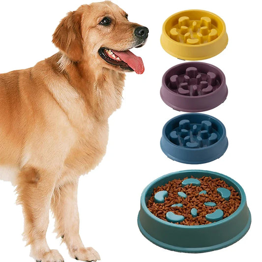 Anti-Choking Slow Food Bowl for Dogs