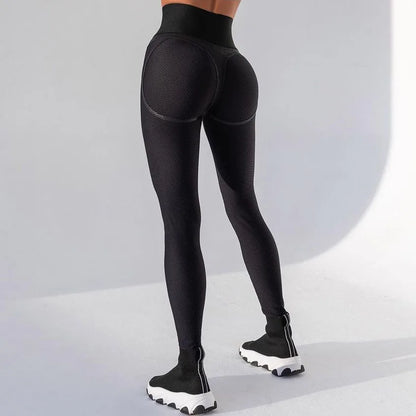 Women's Ultra-Thin Mesh Design Gym Leggings – High Waist Fitness Tights