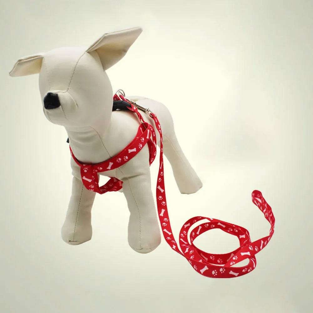 Pet Leash & Harness for Small Dogs, Cats, Puppies, and Rabbits