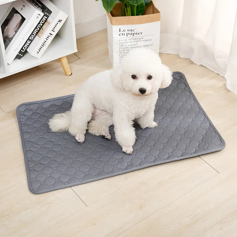 Reusable Absorbent Dog Pee Pad