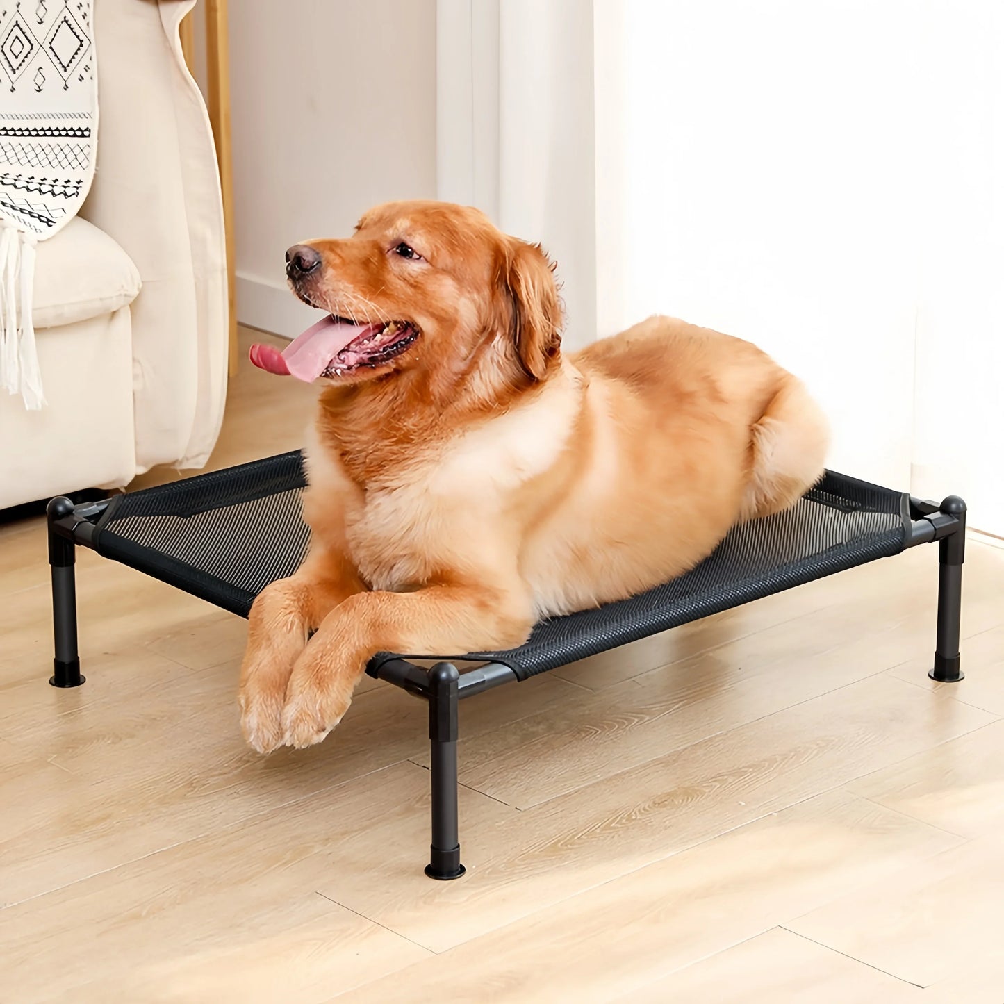 Elevated Pet Bed for Dogs & Cats | Folding Camping Bed