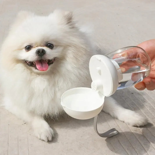 300mL Portable Pet Water Bottle