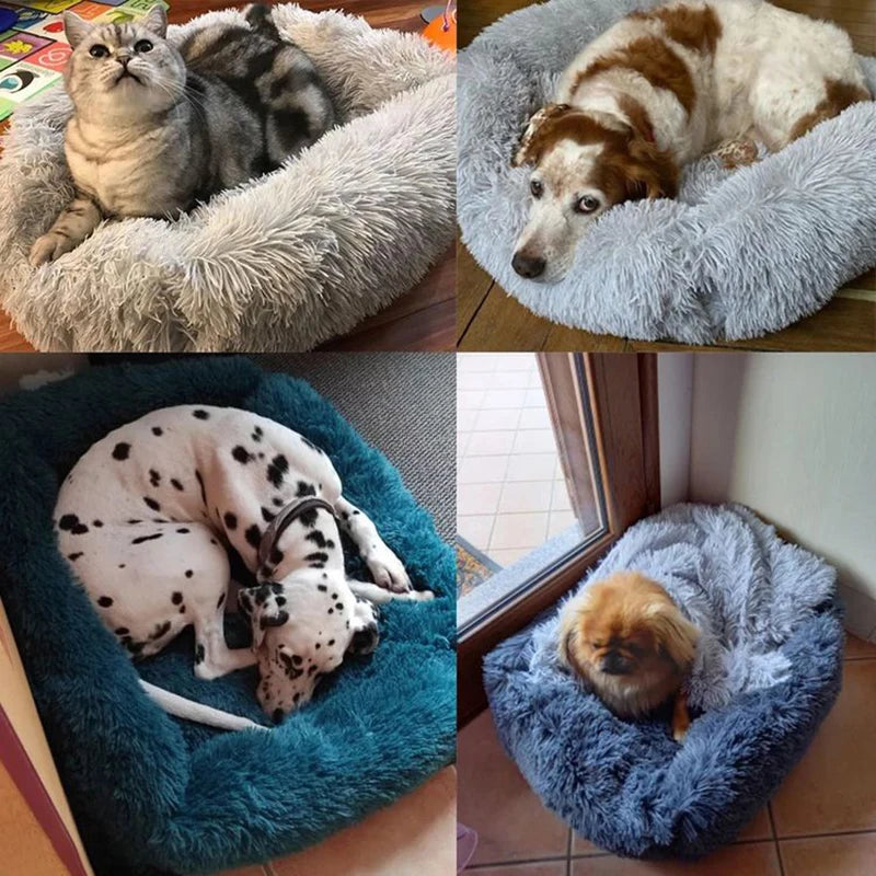 Washable Plush Dog Bed - Soft, Warm Cushion for Winter