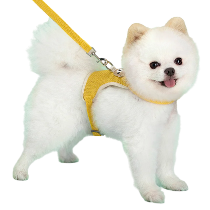 Cute Pet Harness and Leash Set