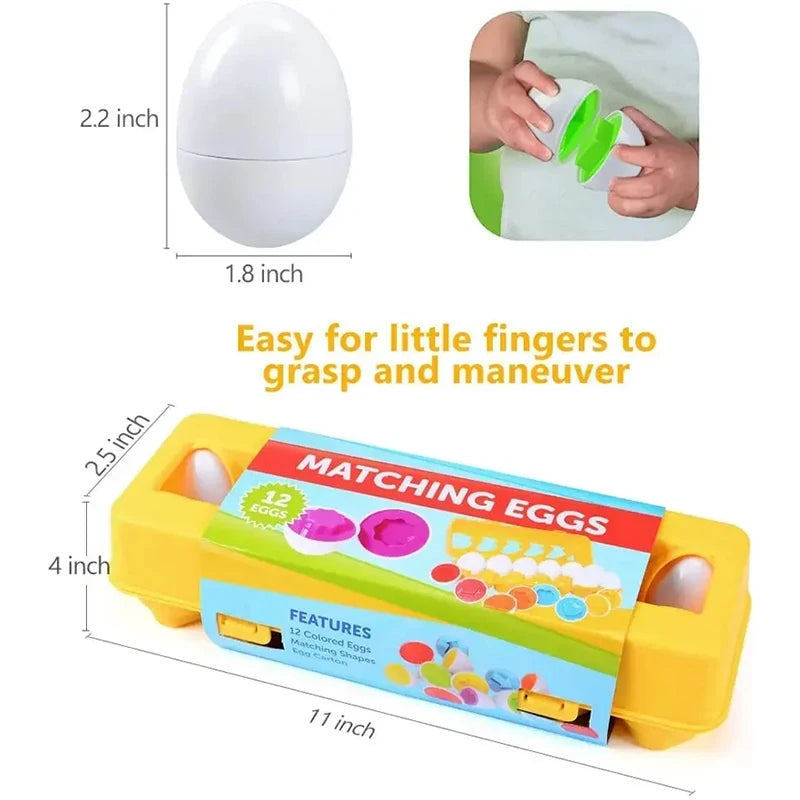 Baby Smart Eggs Montessori Toys