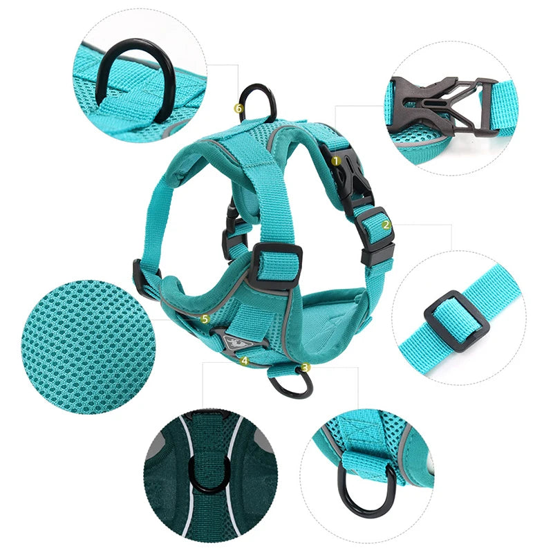 Adjustable Dog Harness and Leash Set