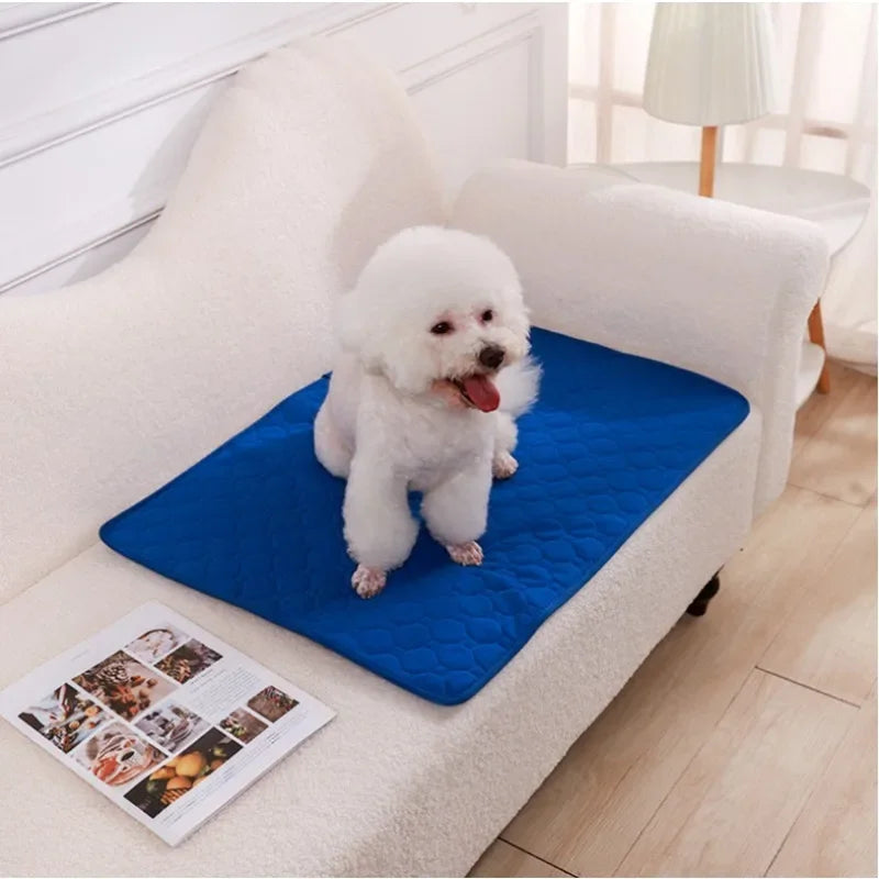 Reusable Absorbent Dog Pee Pad & Washable Training Mat