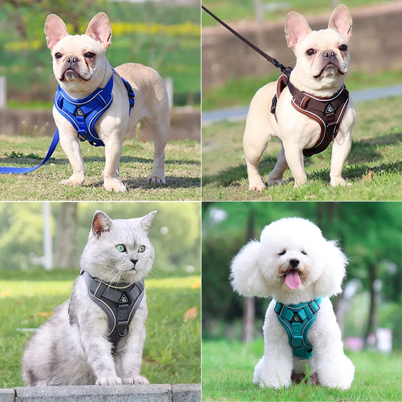 Adjustable Dog Harness and Leash Set