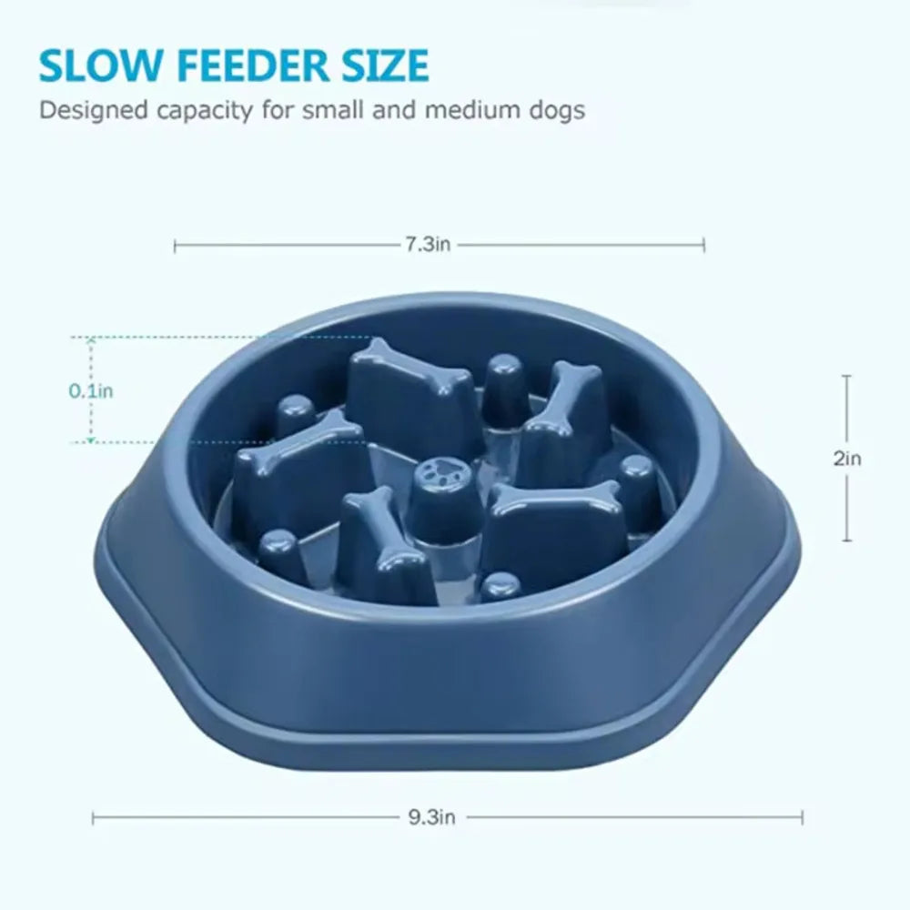 Pet Slow Feeder Bowl – Dog & Cat Feeding Dish