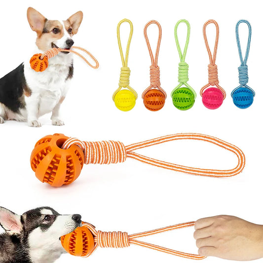 Interactive Pet Treat Balls with Rope for Dogs