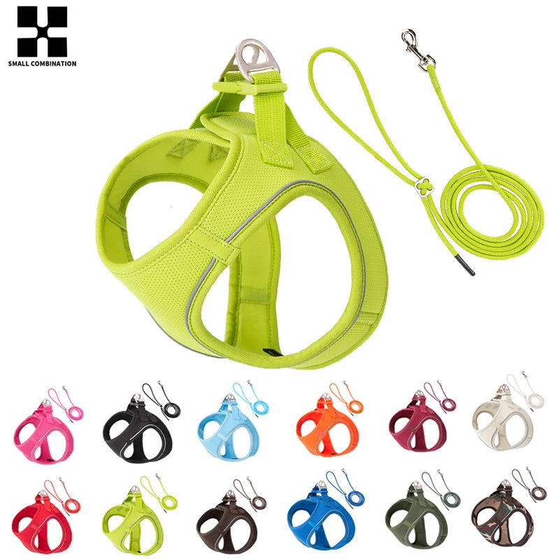 Dog Harness and Leash Set for Small & Medium Dogs