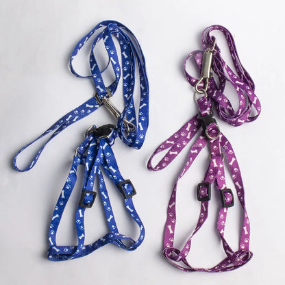 Pet Leash & Harness for Small Dogs, Cats, Puppies, and Rabbits