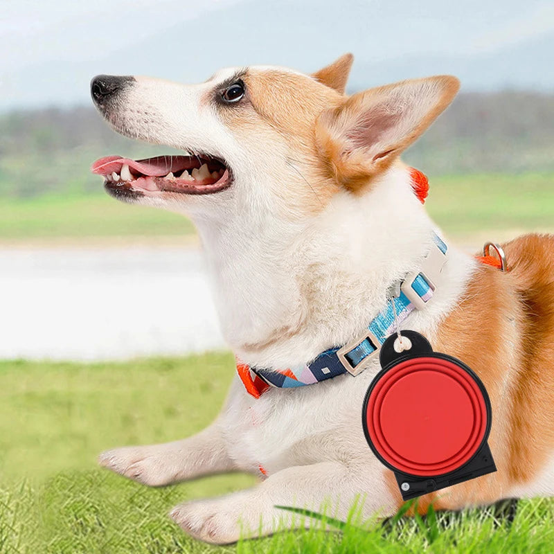 Foldable Portable Dog Bowl | 2-in-1 Silicone Food & Water Container