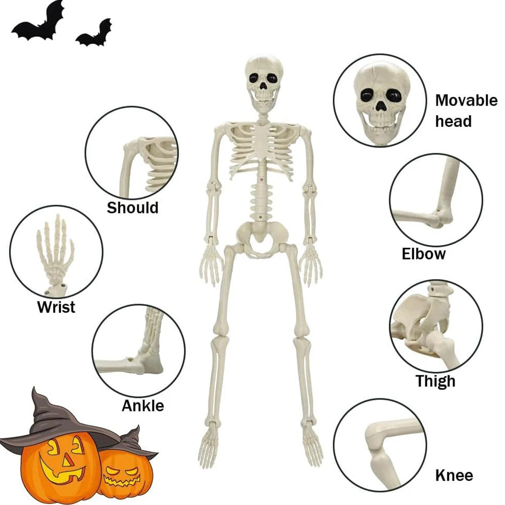 40 cm Posable Human Skeleton Halloween Decoration