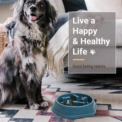 Dog Slow Feeder Bowl | Anti-Choking Feeding Solution