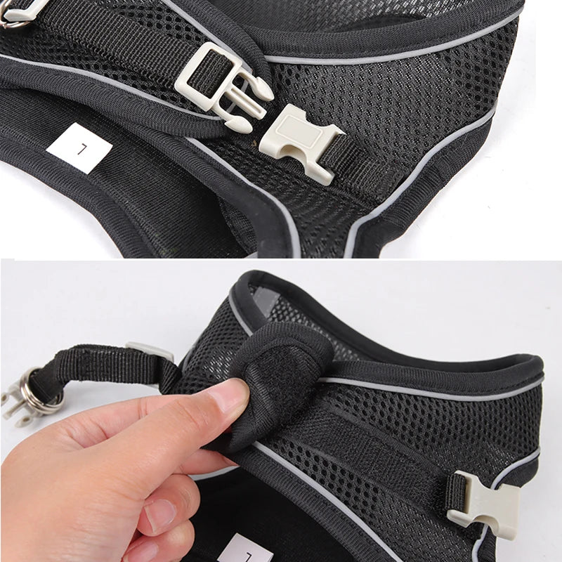 Dog Harness and Leash Set for Small Dogs