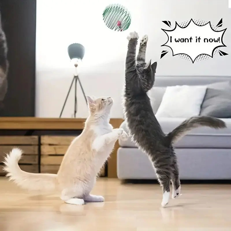 Stretchable Cat Toy Balls – Interactive Kitten Springs