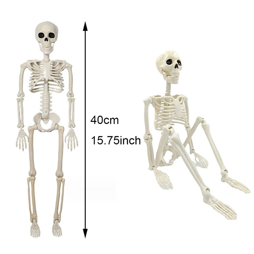 40 cm Posable Human Skeleton Halloween Decoration