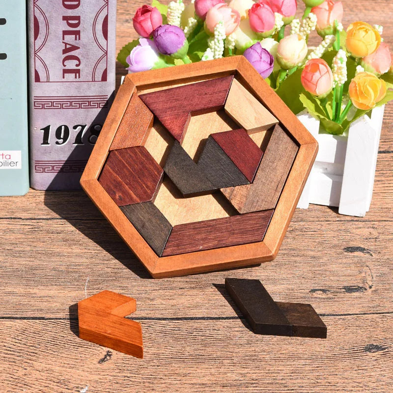 Hexagonal Wooden Puzzles - Educational IQ Brain Teaser