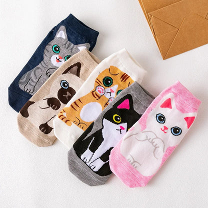 5 Pairs Cartoon Cotton Short Cat & Dog Socks