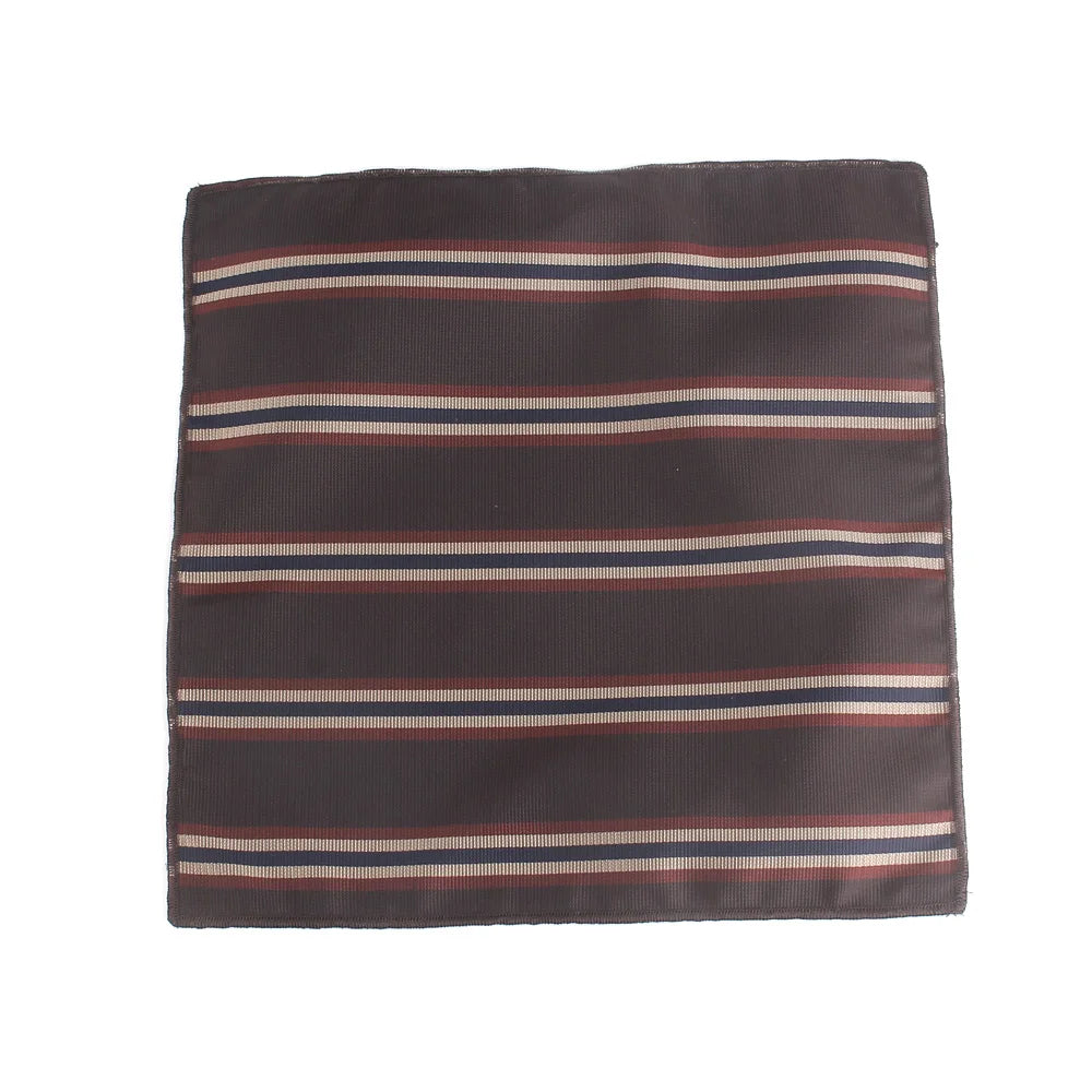 New Striped Pocket Square for Men - Paisley Design Handkerchief