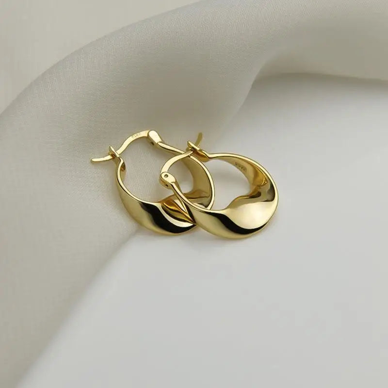 925 Sterling Silver Irregular Shape Earrings