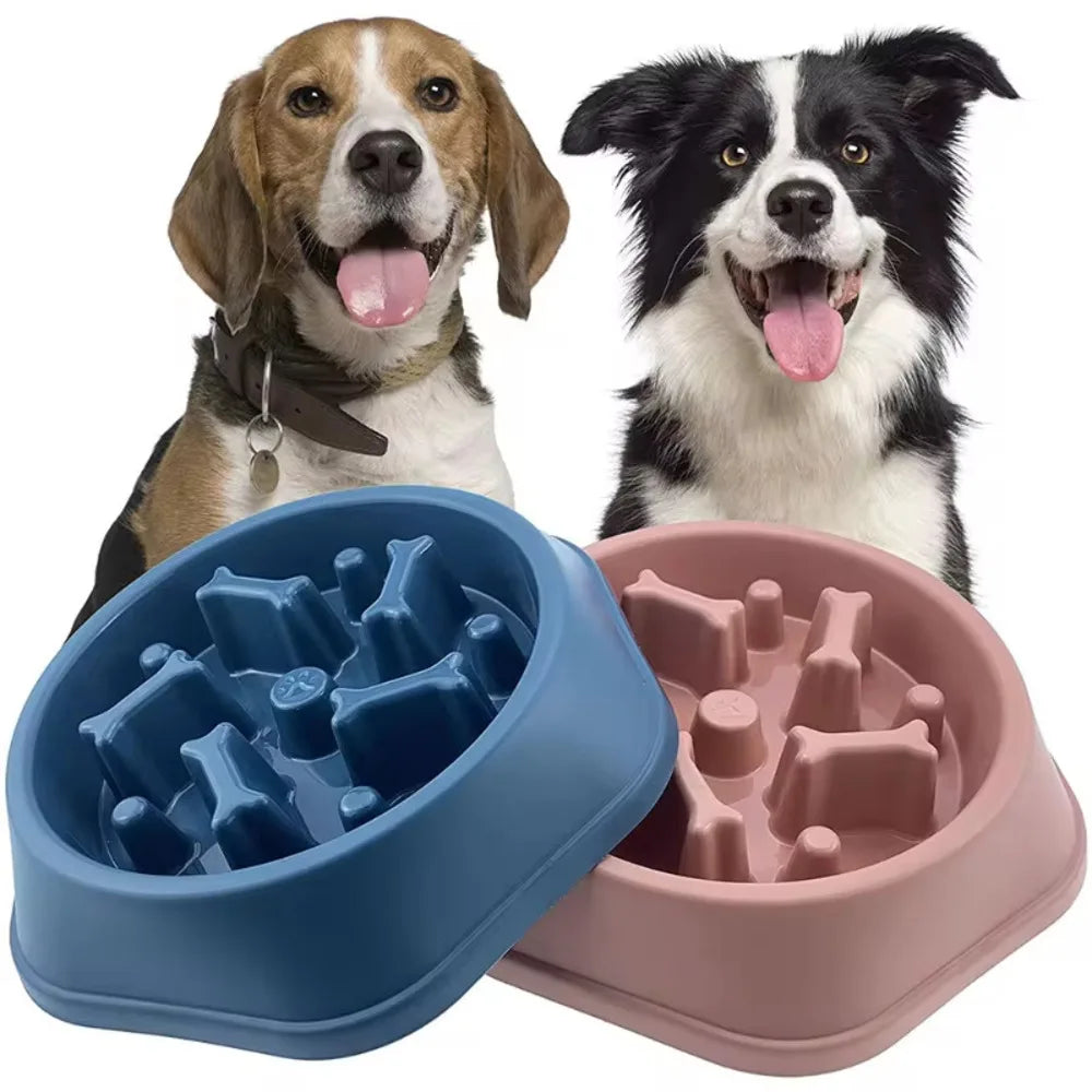 Pet Slow Feeder Bowl – Dog & Cat Feeding Dish