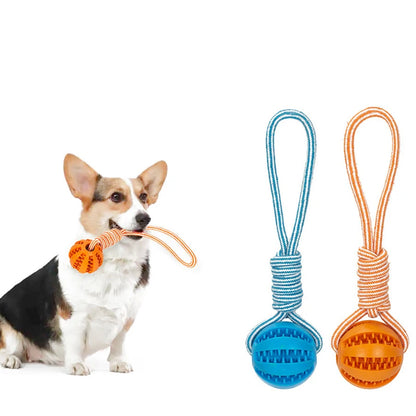 Interactive Pet Treat Balls with Rope for Dogs