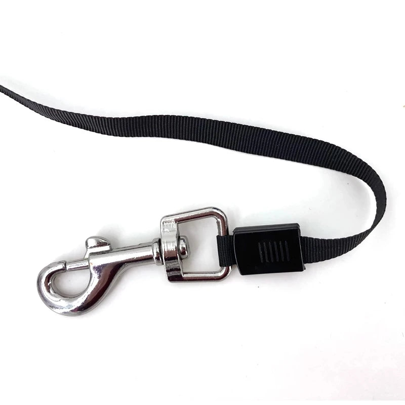 Retractable Dog Leash | Flexible Traction Rope for All Dog Sizes