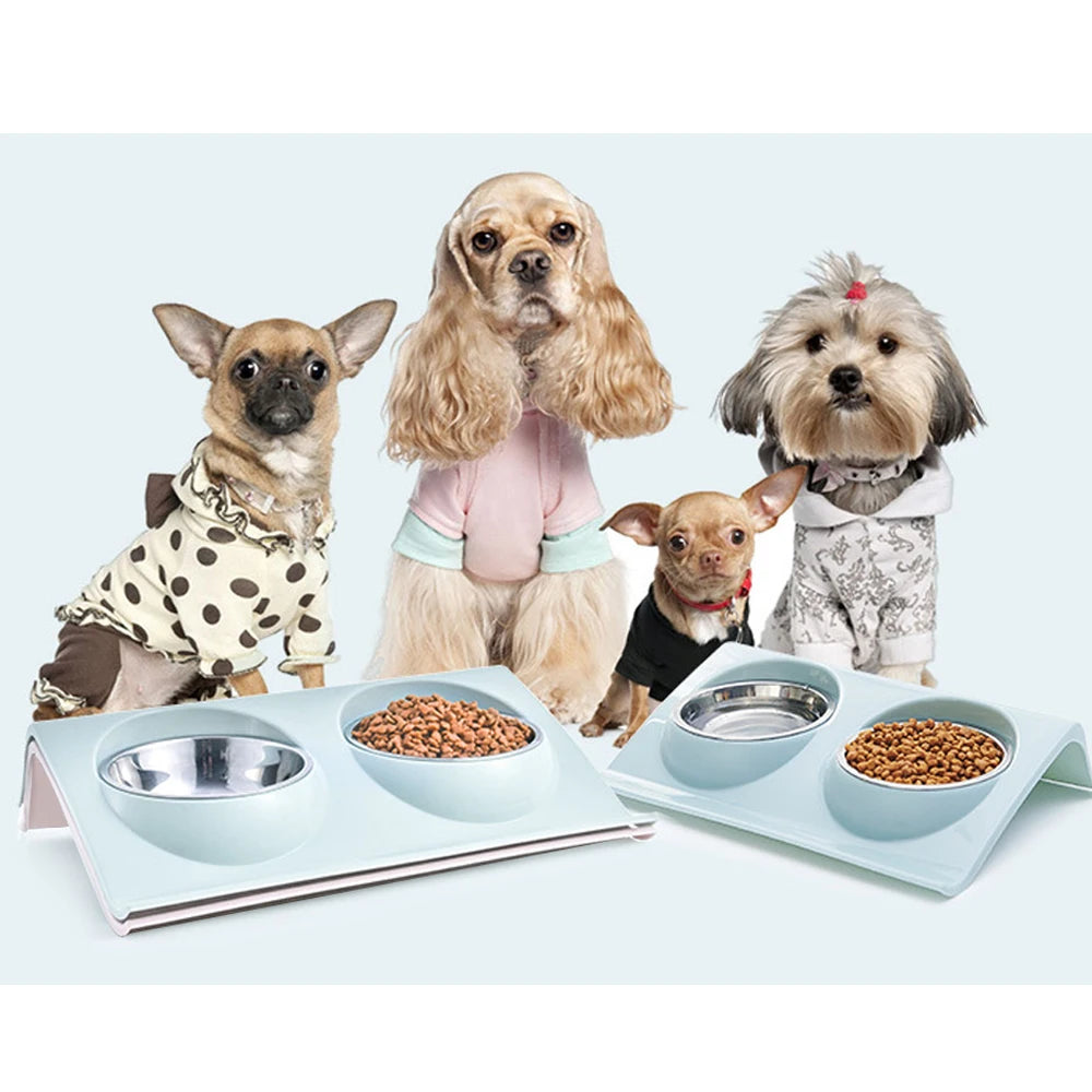 Stainless Steel Double Pet Bowl Feeder