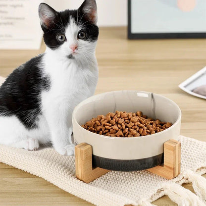 Ceramic Pet Bowl with Wood Stand