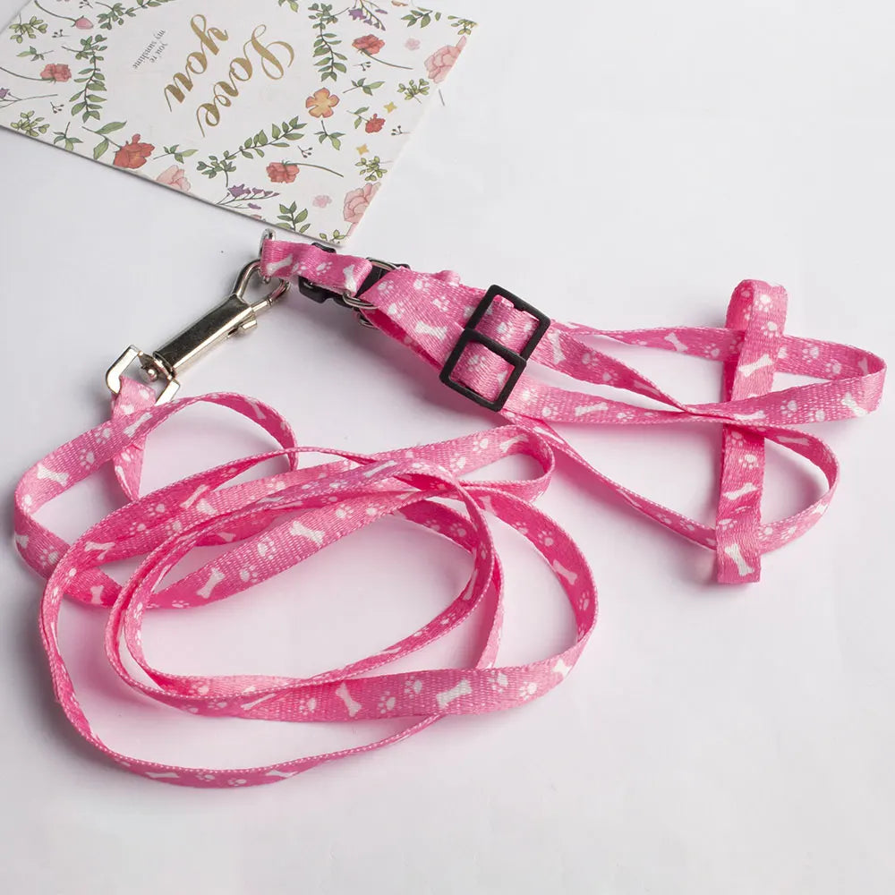 Pet Leash & Harness for Small Dogs, Cats, Puppies, and Rabbits