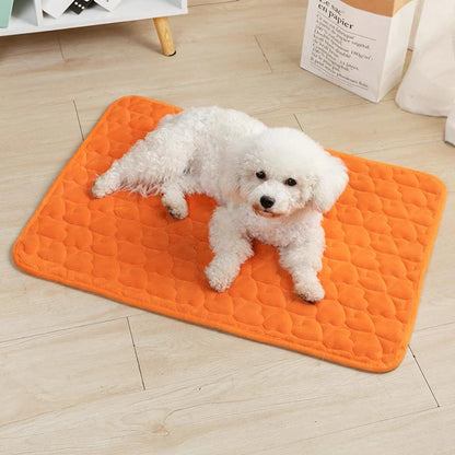 Washable Thicken Warm Pet Sleeping Mat