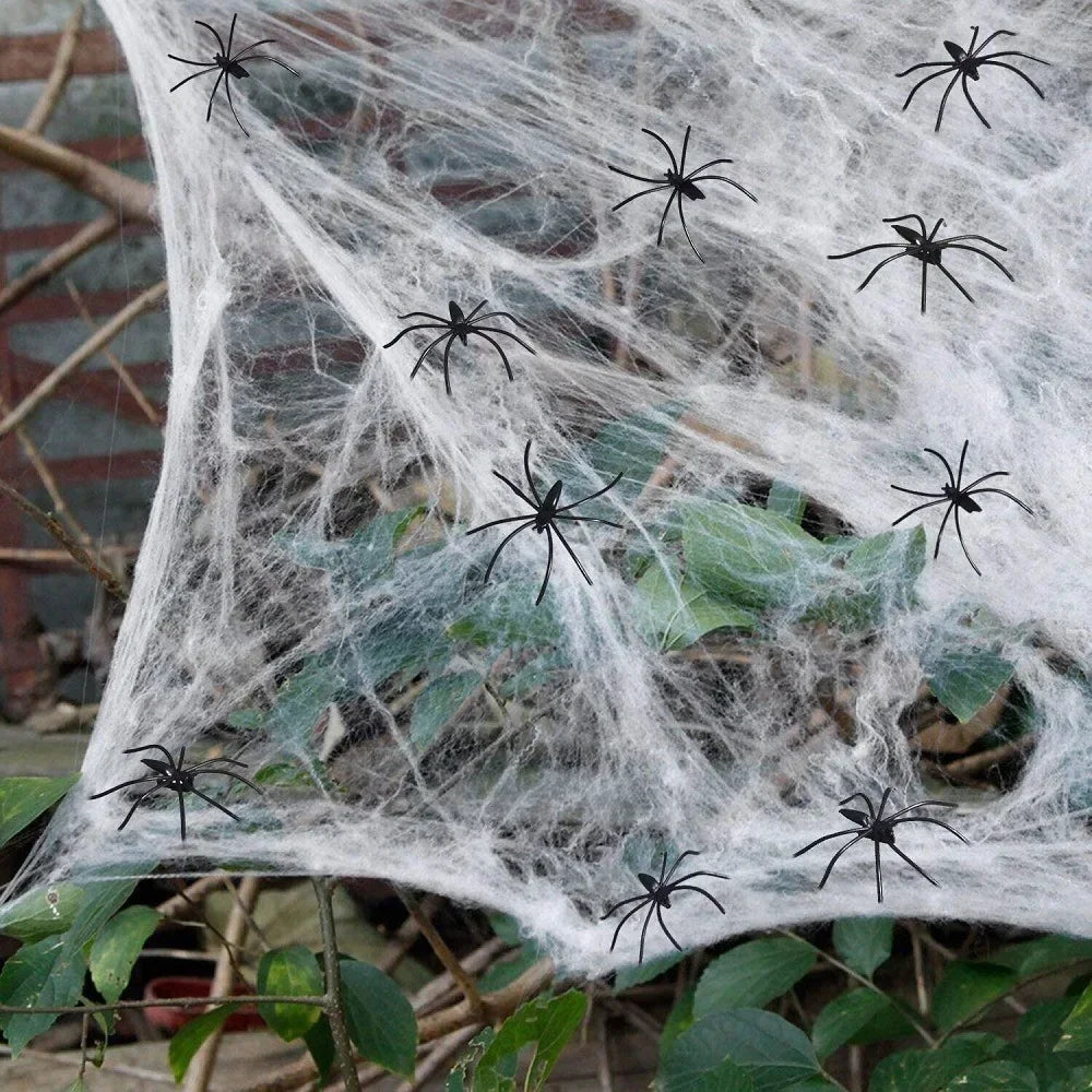 1 pc Halloween Elastic Spider Web with Spider Decor