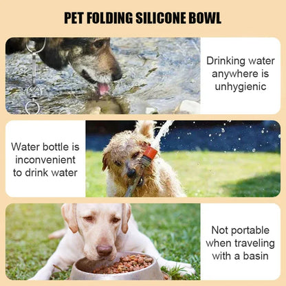 350mL Silicone Dog & Cat Travel Bowl | Portable