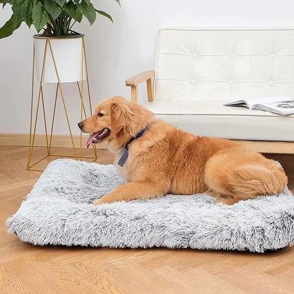 Removable Soft Plush Pet Bed Mat