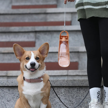 Portable Dog Water Bottle | Foldable Lightweight Drinking Bowl for Dogs